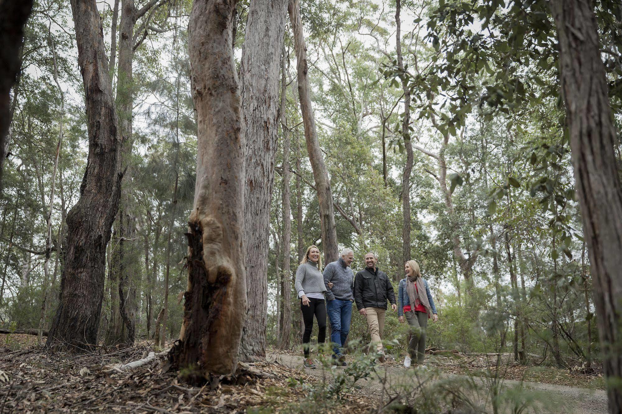 Spicers Sangoma Retreat - Adults Only Bed and Breakfast Kurrajong Buitenkant foto